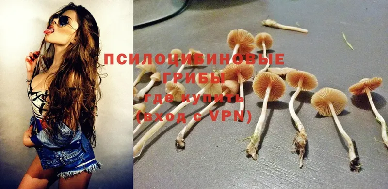 цена наркотик  МЕГА зеркало  Псилоцибиновые грибы Psilocybine cubensis  Кубинка 